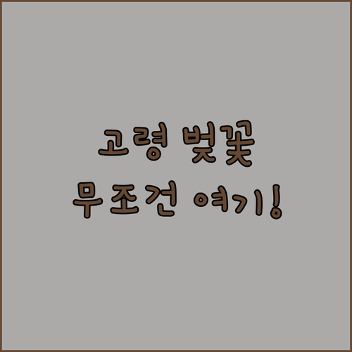 2026 고령군 벚꽃 구경하기 좋은 곳과 축제 일정 안내