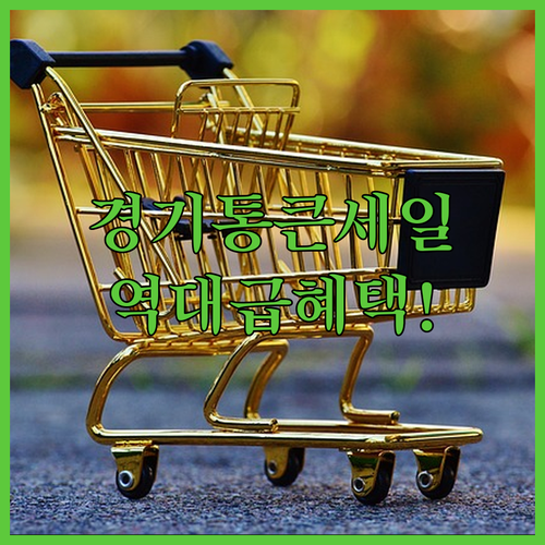 2026 경기 통큰세일 일정 혜택 및 지역화폐 사용법