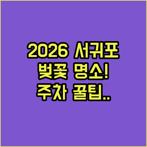 2026년 서귀포 벚꽃 여행 코스와 주차 정보