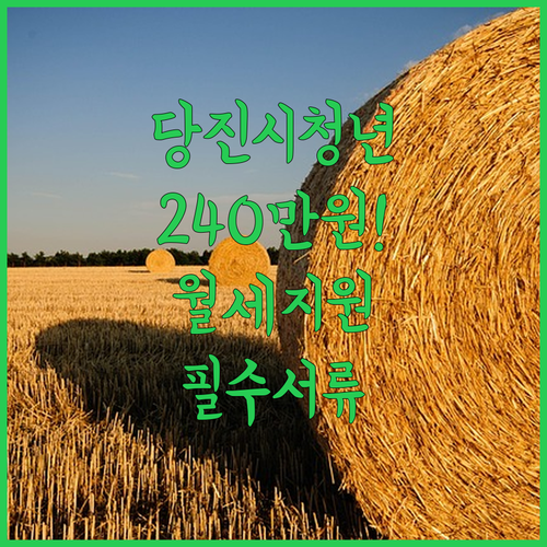 당진시 청년 월세 지원금 240만원 혜택 대상과 필수 서류 리스트