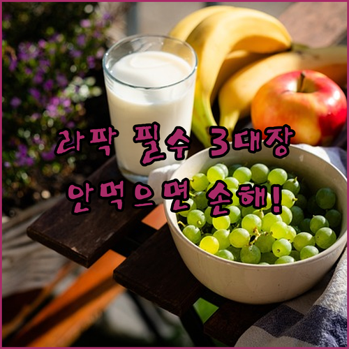 삼성 라이온즈 파크 필수 먹거리 3대장 매장 위치와 특징