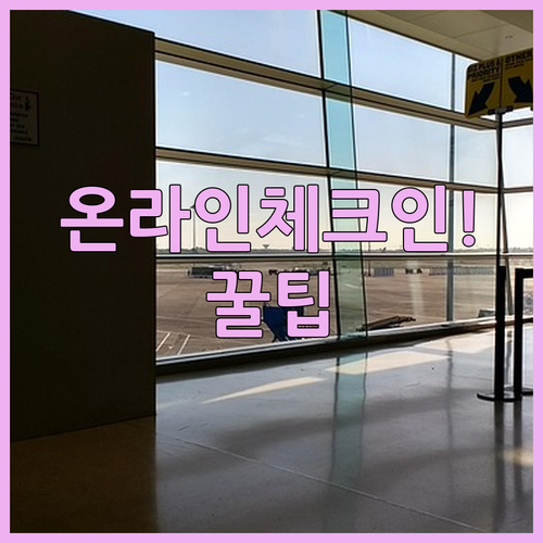 유나이티드 항공 온라인 체크인 좌석 변경 및 수하물 추가