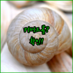 image b5bca3e2