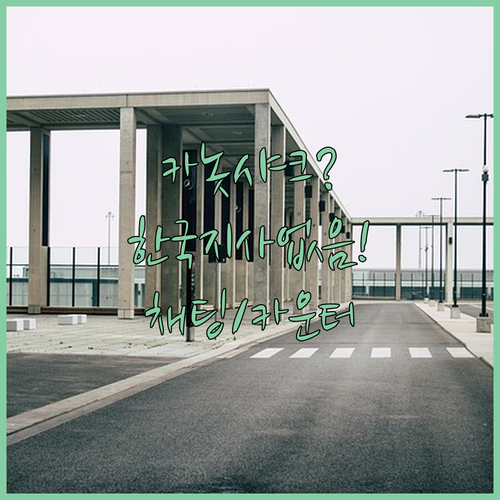 카놋샤크 항공 한국 지사 없음 | 실시간 채팅과 공항 카운터 이용 방법