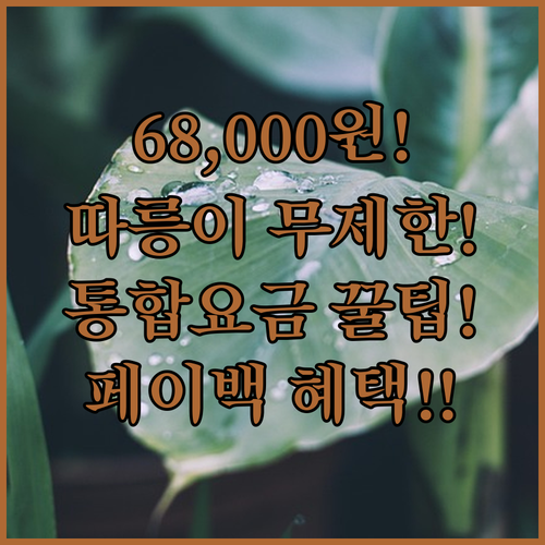 2026년 기후동행카드 따릉이 무제한 | 통합형 요금 68,000원 및 페이백