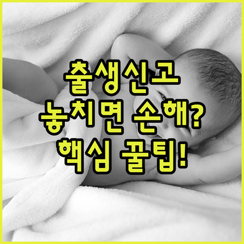 출생신고 시 알아야 할 필수 정보 요약