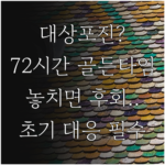 image 3bb9f228