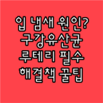 image 3cd77eb1