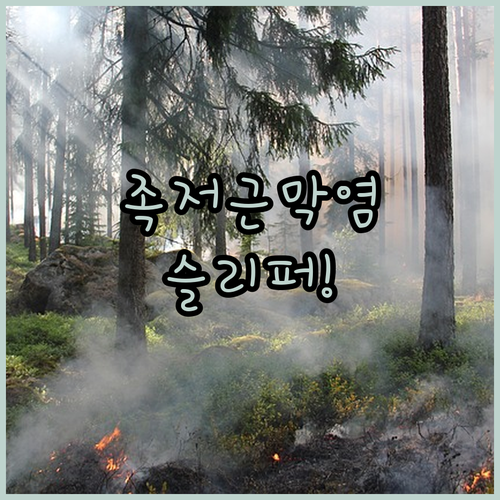 image 925b3c3b