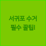 image d4f9dbac