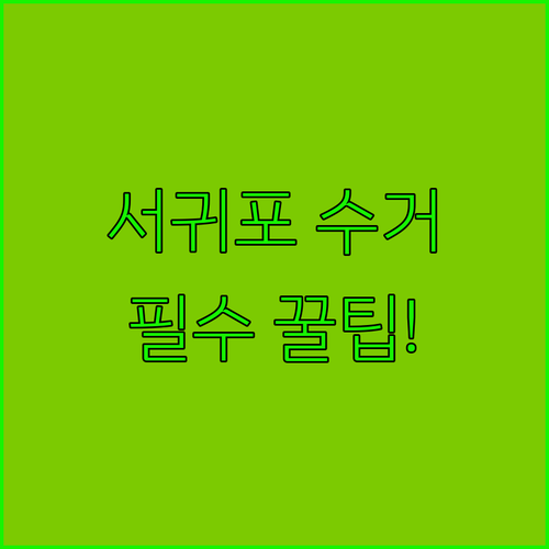 image d4f9dbac