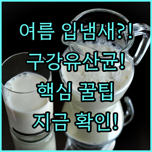 구강유산균으로 해결하는 여름철 입냄새 원인과 관리 수칙