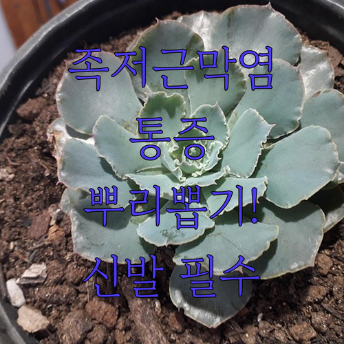 image e78f9a3c