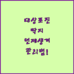 image e96d0615