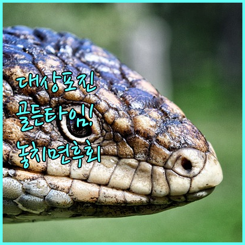 image f56a9f63