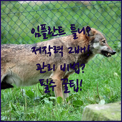 image fc687304